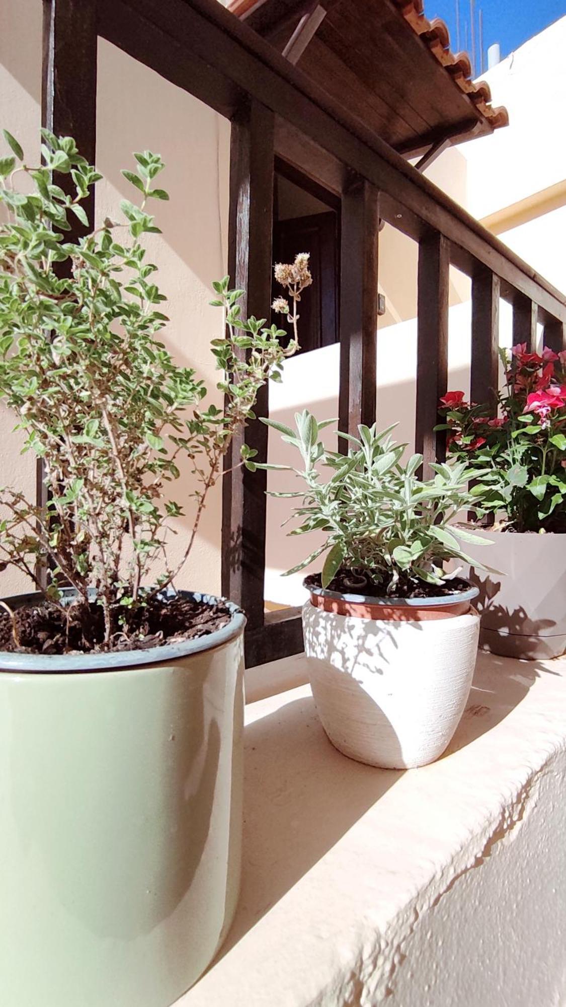 Dedalos N3 Sea View Apartment-30 Metres From The Beach Σταλίδα Εξωτερικό φωτογραφία